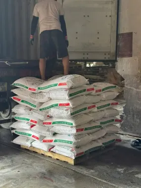 PAC 31% VIỆT TRÌ