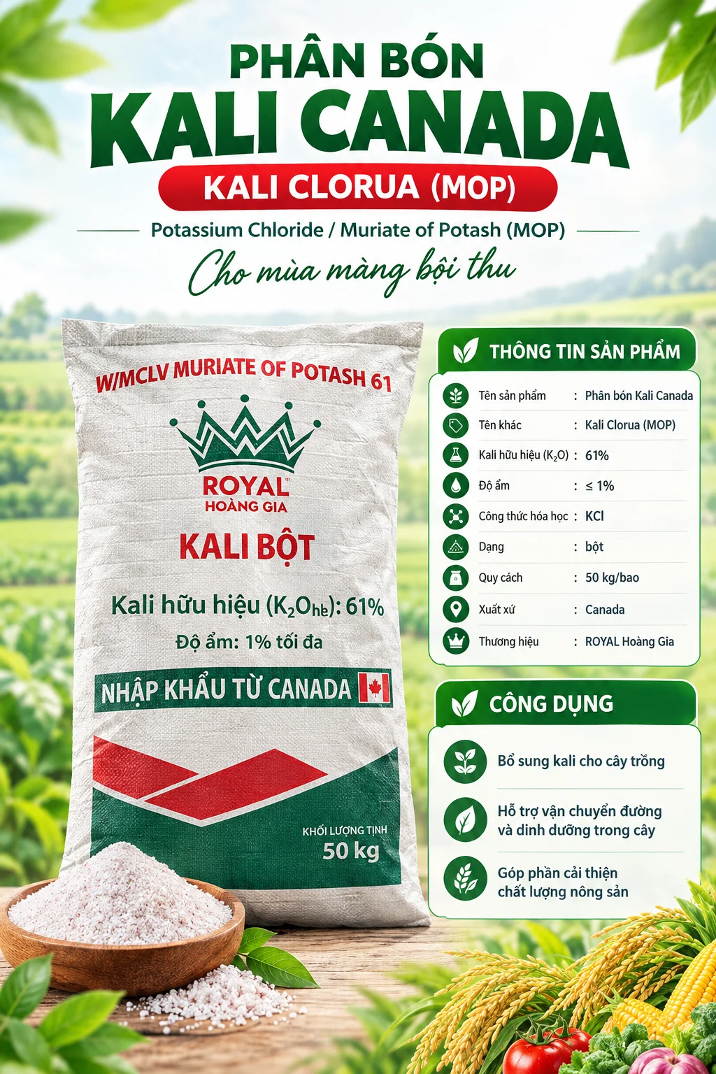 KALI Bột Canada